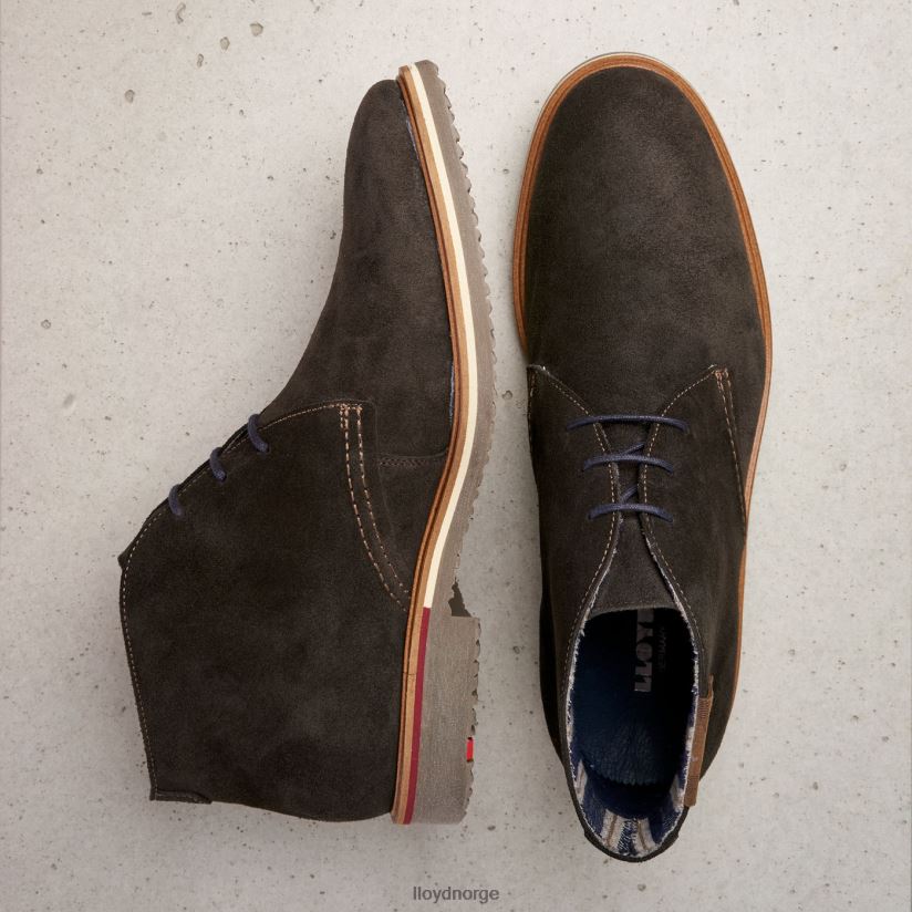 LLOYD novo menn sko grå 4X82ZP568