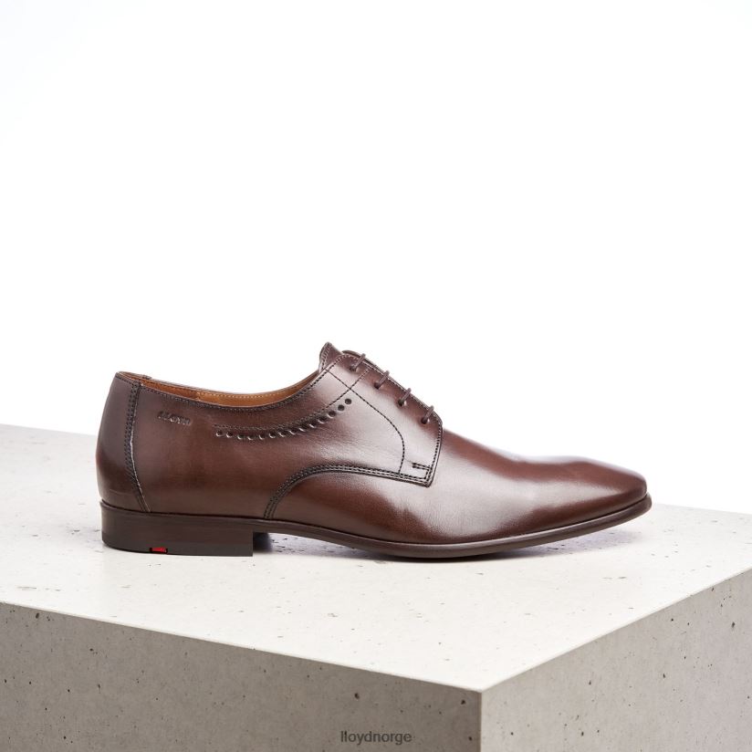 LLOYD ocas menn sko brun 4X82ZP575