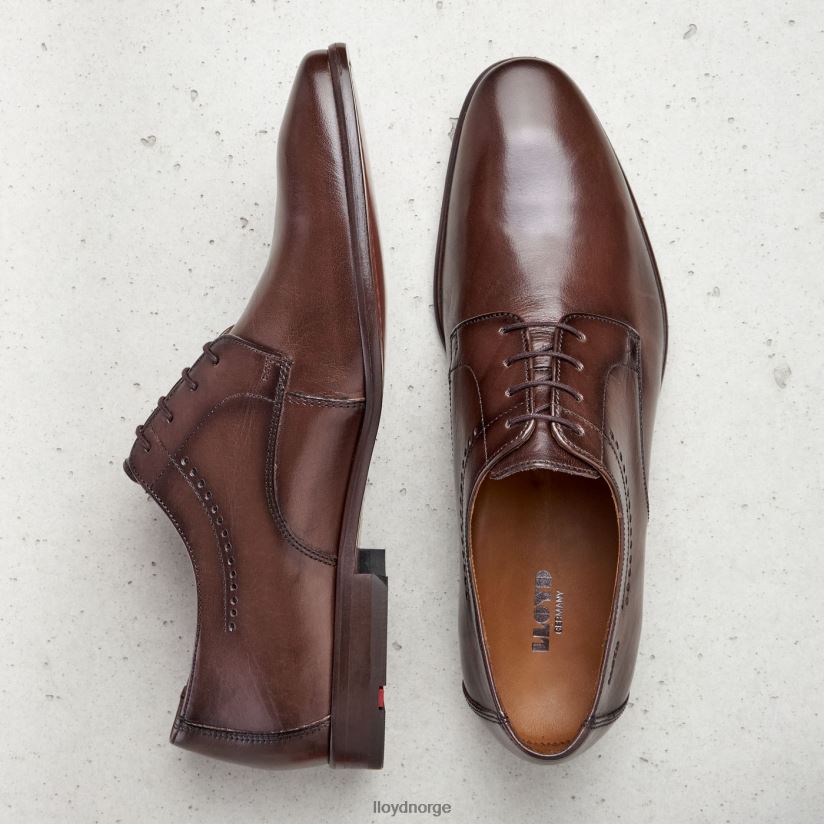 LLOYD ocas menn sko brun 4X82ZP575