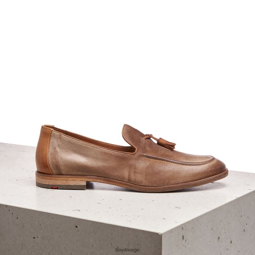 LLOYD odal menn sko brun 4X82ZP590