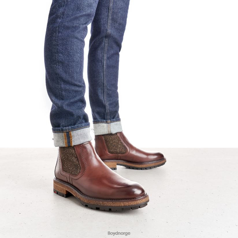 LLOYD odem menn sko brun 4X82ZP532