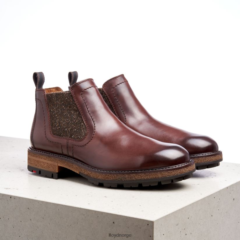 LLOYD odem menn sko brun 4X82ZP532