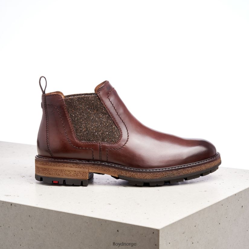 LLOYD odem menn sko brun 4X82ZP532