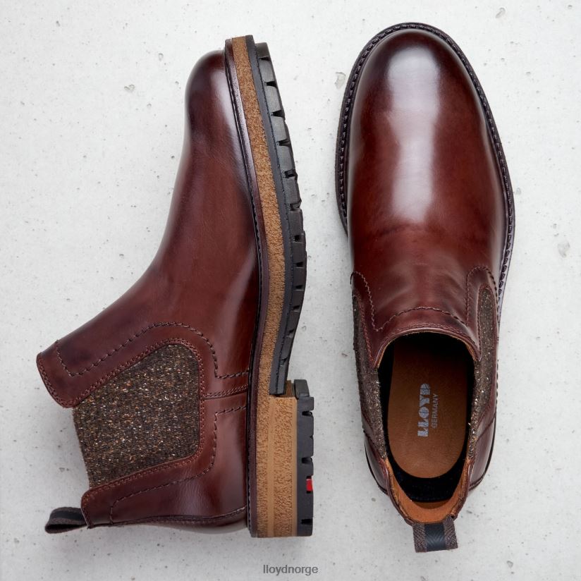 LLOYD odem menn sko brun 4X82ZP532