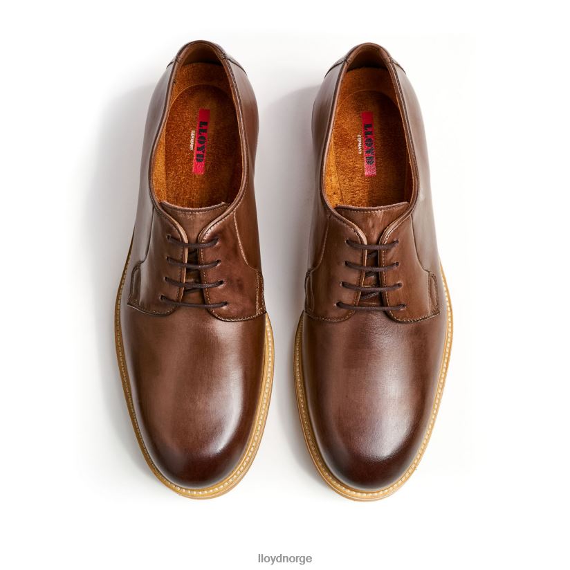 LLOYD ok menn sko brun 4X82ZP77