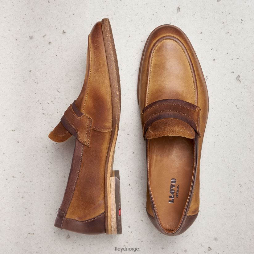 LLOYD oktant menn sko brun 4X82ZP604