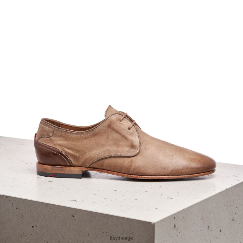 LLOYD oran menn sko brun 4X82ZP600