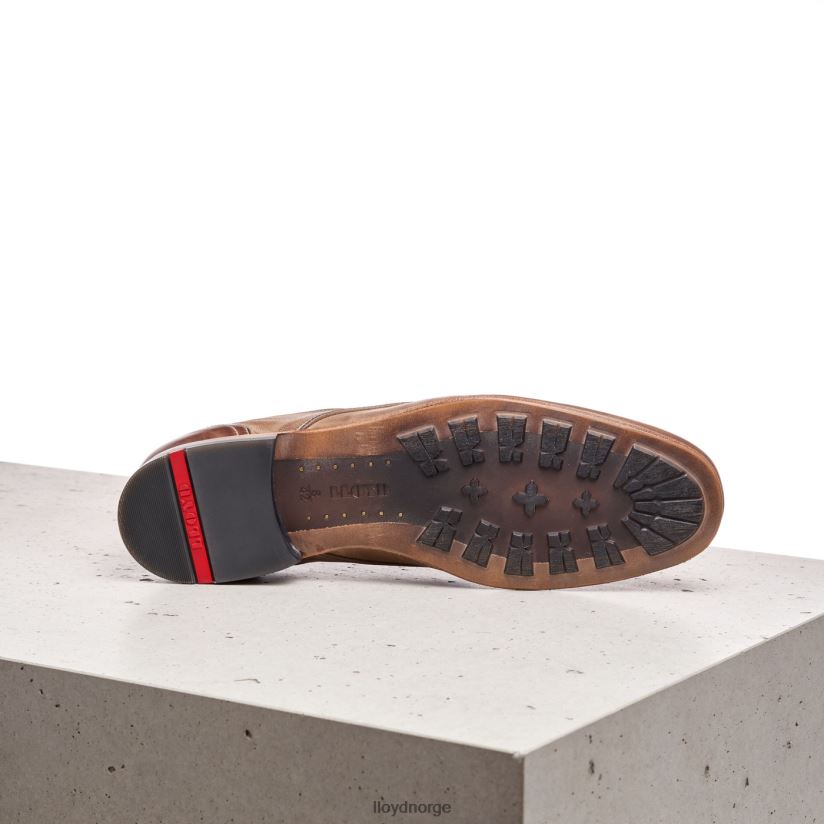 LLOYD oran menn sko brun 4X82ZP600
