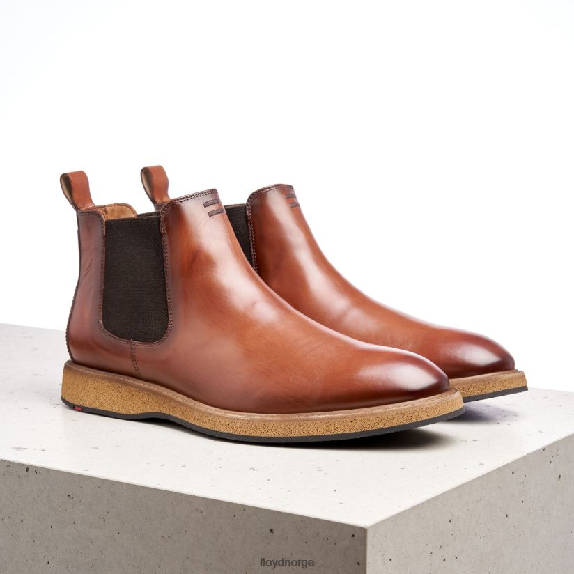 LLOYD oris menn sko brun 4X82ZP558