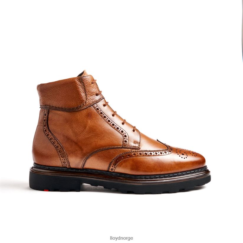 LLOYD osko menn sko brun 4X82ZP502