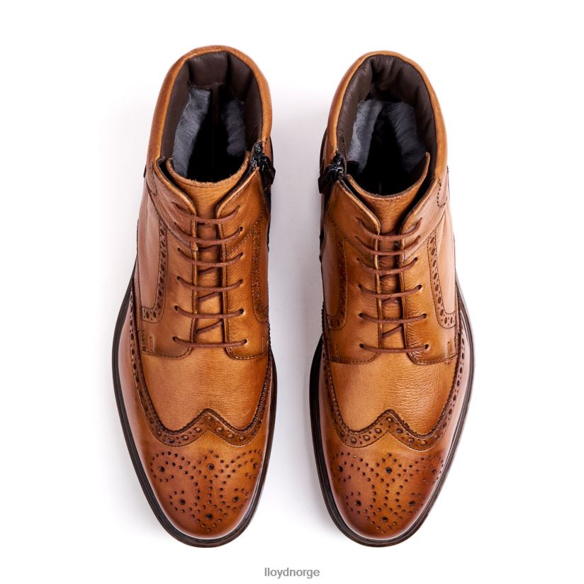 LLOYD osko menn sko brun 4X82ZP502