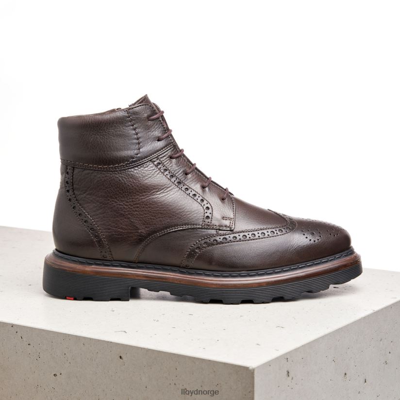 LLOYD osko menn sko brun 4X82ZP541