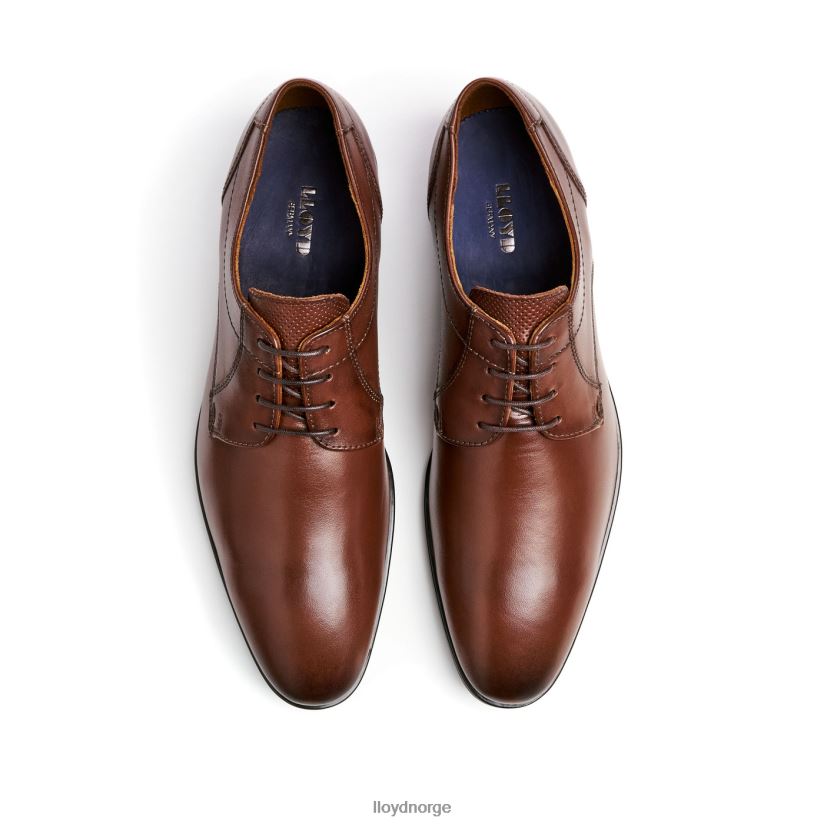 LLOYD osmond menn sko brun 4X82ZP85