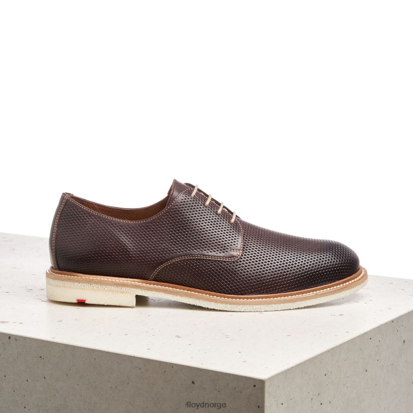 LLOYD palma menn sko brun 4X82ZP226
