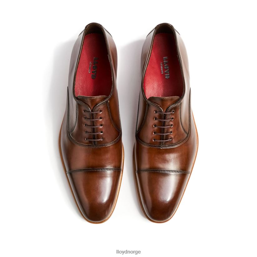 LLOYD parcas menn sko brun 4X82ZP156