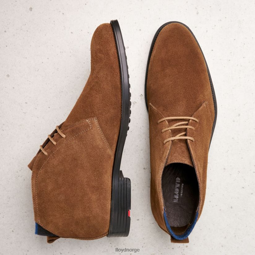 LLOYD patriot menn sko brun 4X82ZP531