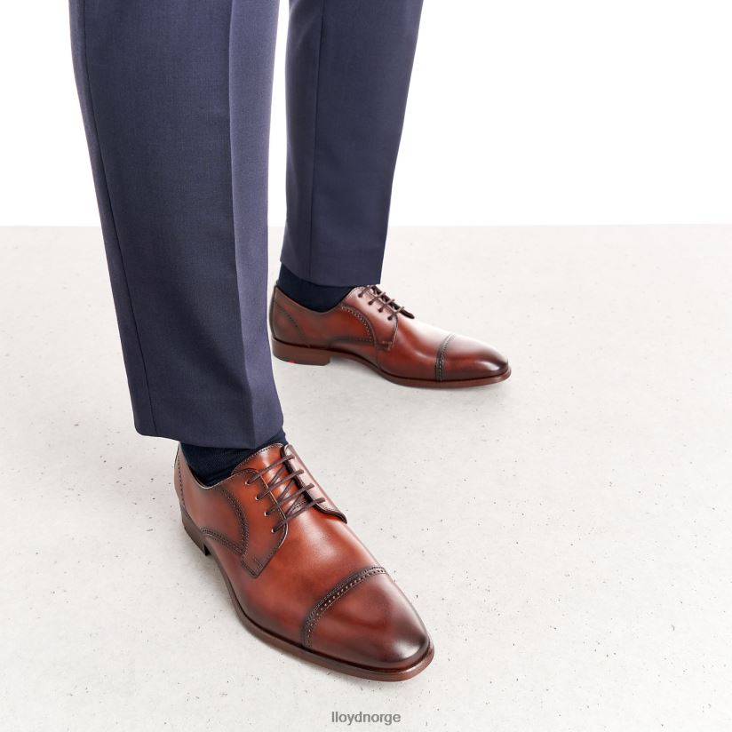 LLOYD perry menn sko brun 4X82ZP177