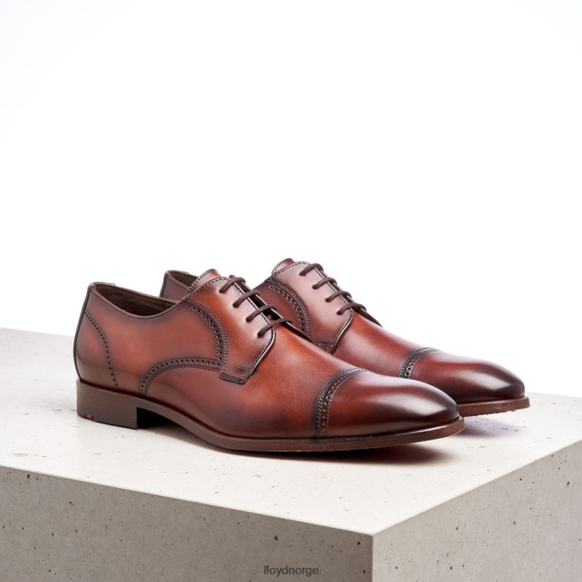 LLOYD perry menn sko brun 4X82ZP177