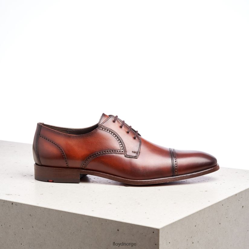 LLOYD perry menn sko brun 4X82ZP177