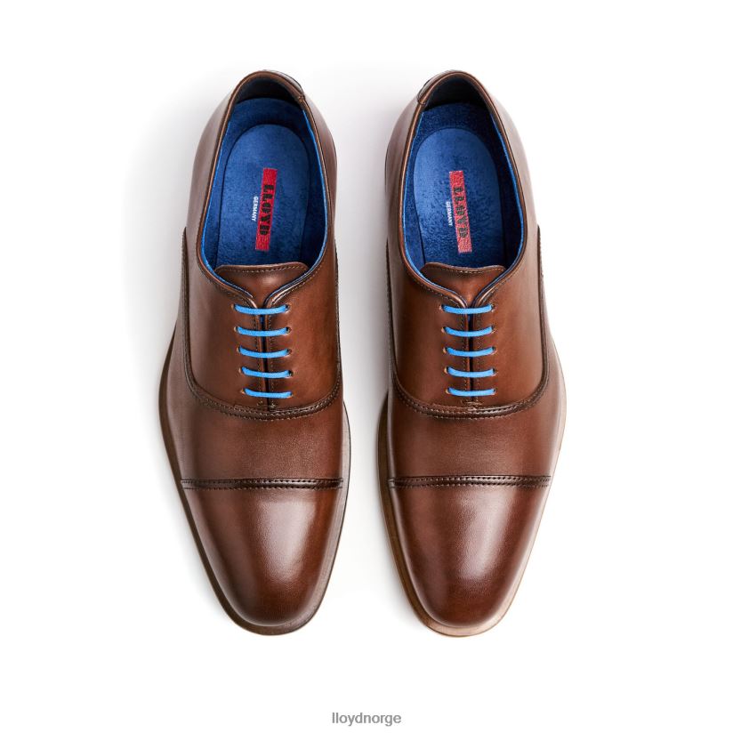 LLOYD rane menn sko brun 4X82ZP130