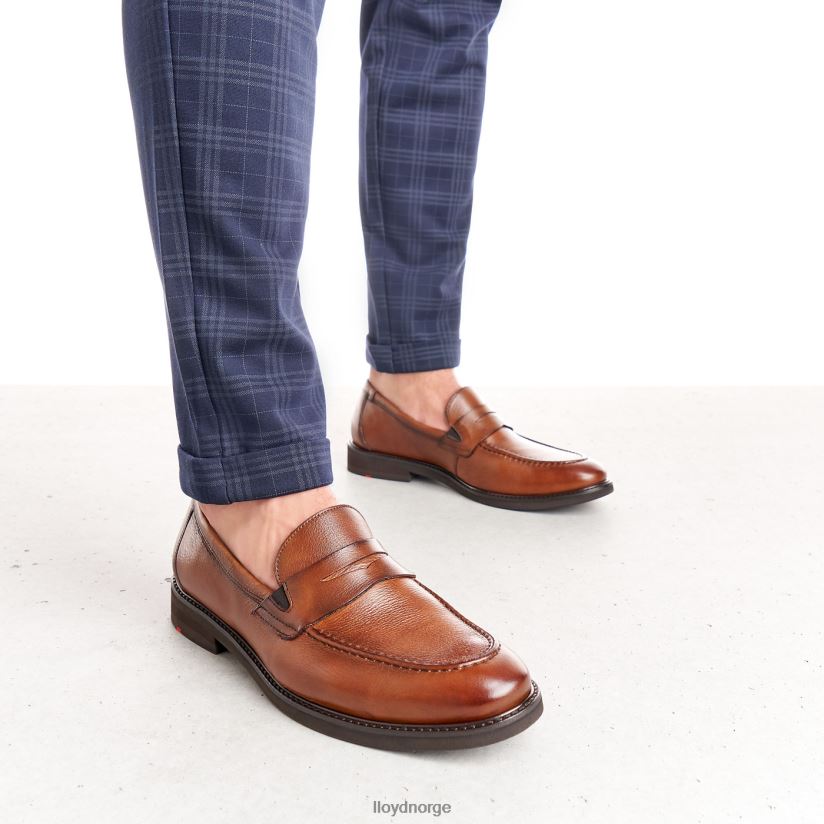 LLOYD reg menn sko brun 4X82ZP169