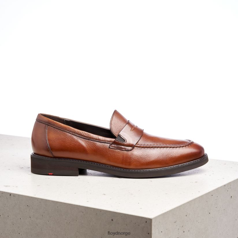 LLOYD reg menn sko brun 4X82ZP169