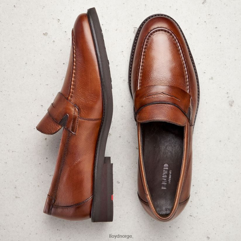 LLOYD reg menn sko brun 4X82ZP169