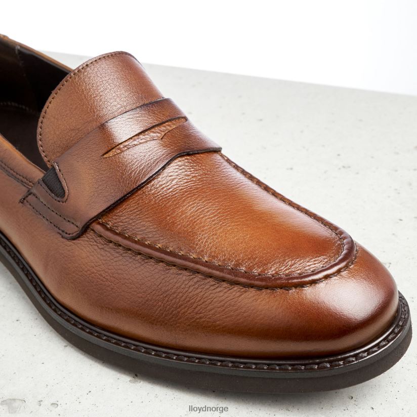 LLOYD reg menn sko brun 4X82ZP169