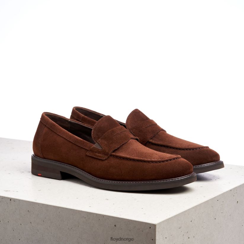 LLOYD reg menn sko brun 4X82ZP183