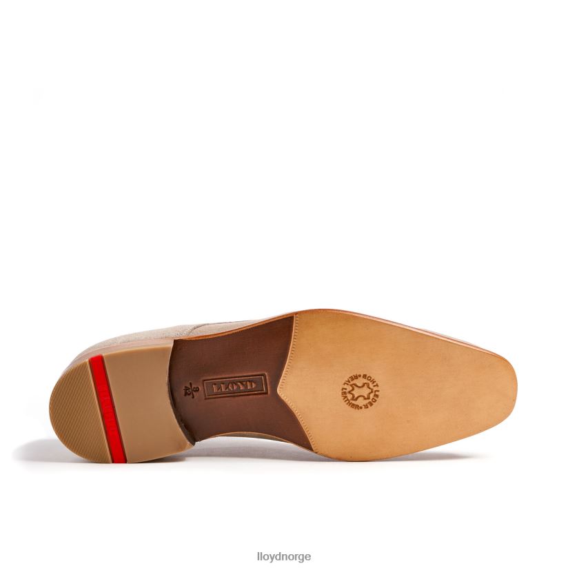 LLOYD remo menn sko grå 4X82ZP244