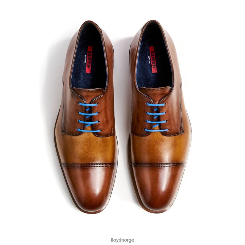 LLOYD rick menn sko brun 4X82ZP216