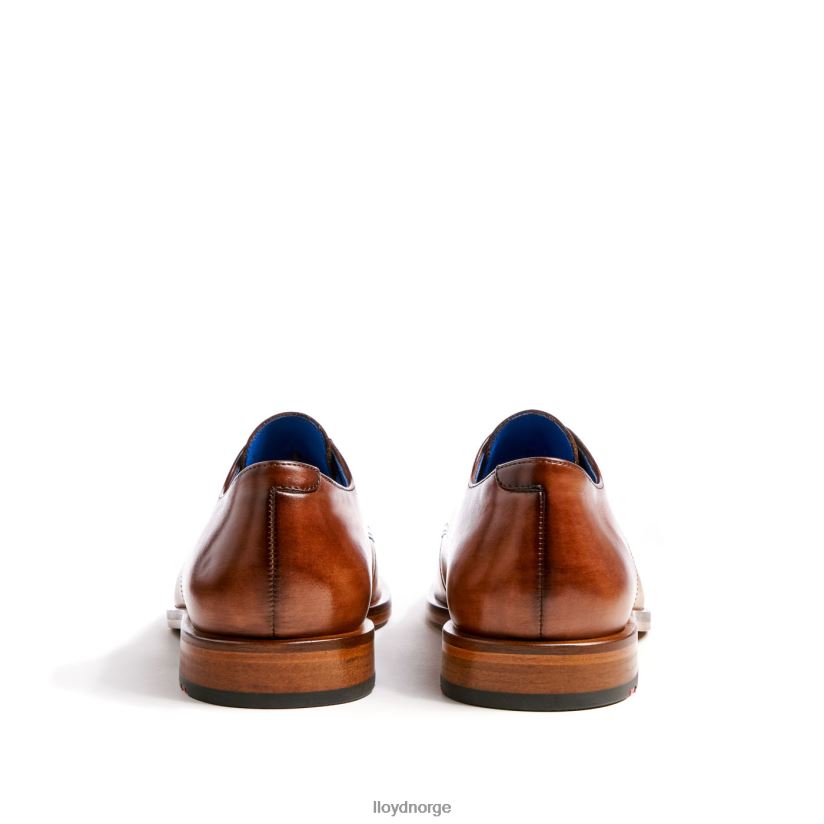 LLOYD rick menn sko brun 4X82ZP216