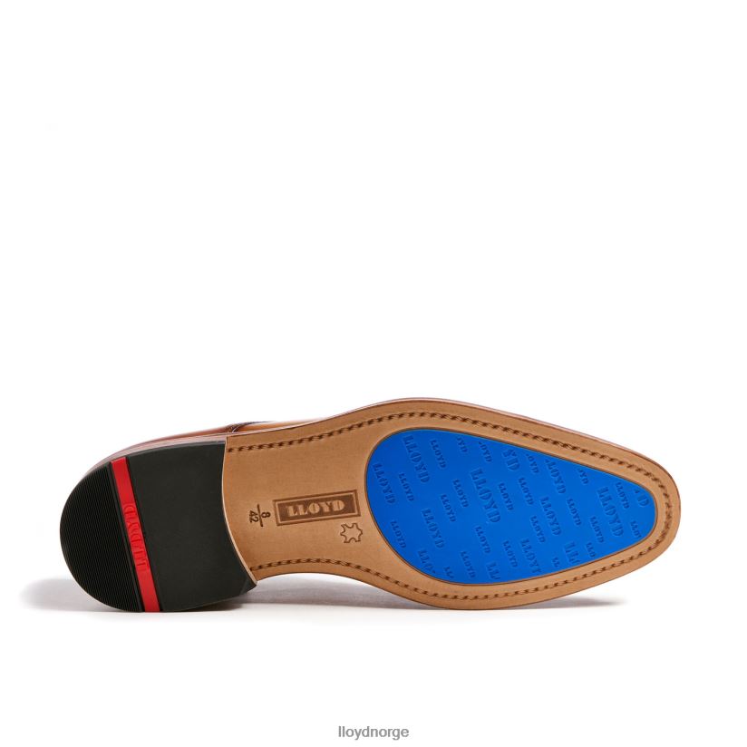 LLOYD rick menn sko brun 4X82ZP216