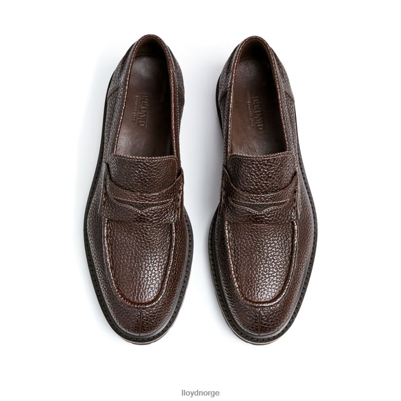 LLOYD ringo menn sko brun 4X82ZP72