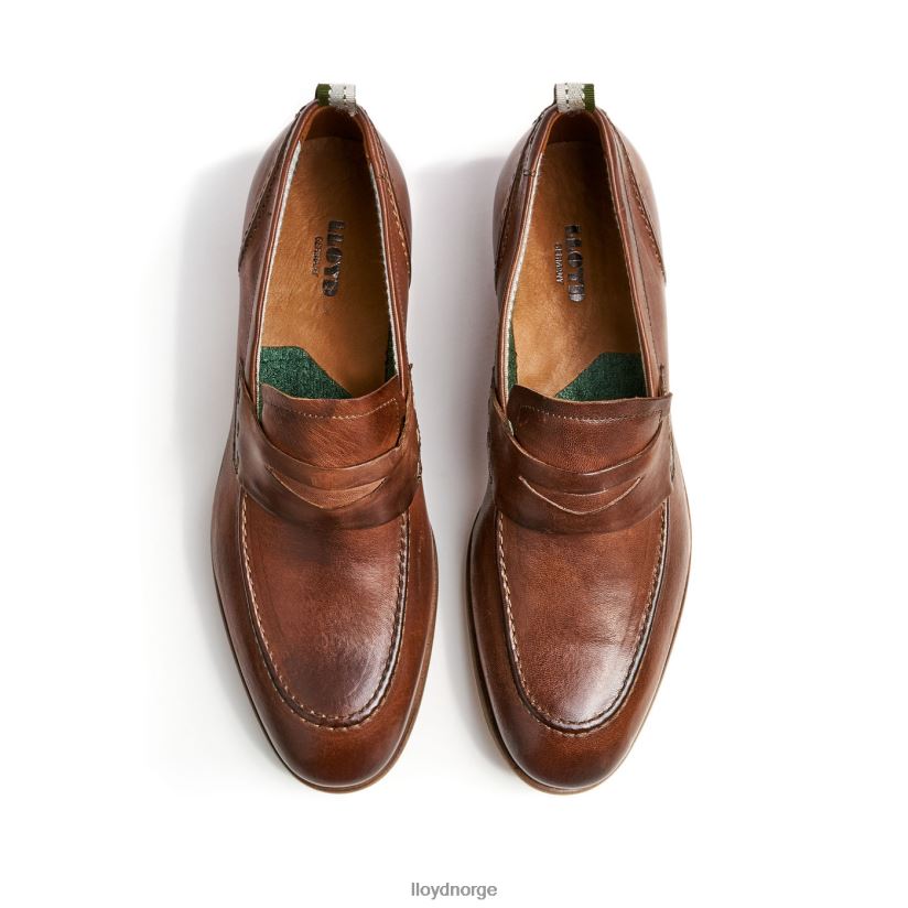 LLOYD ripan menn sko brun 4X82ZP1348