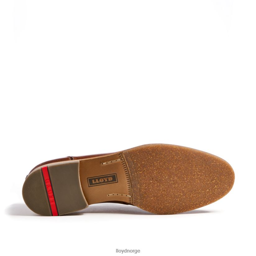 LLOYD ripan menn sko brun 4X82ZP1348