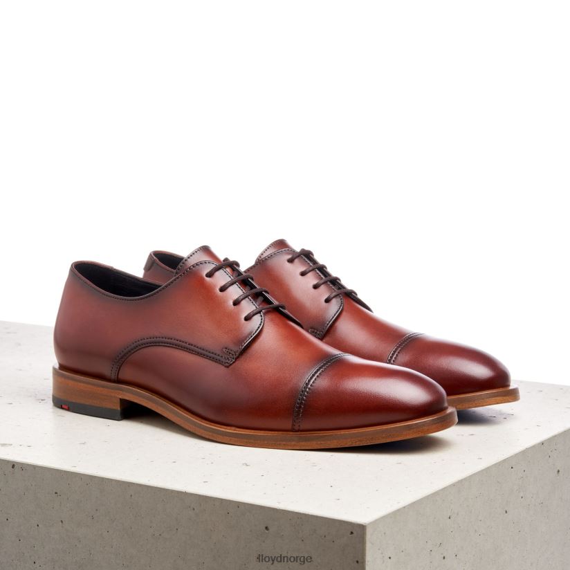 LLOYD rodney menn sko brun 4X82ZP195