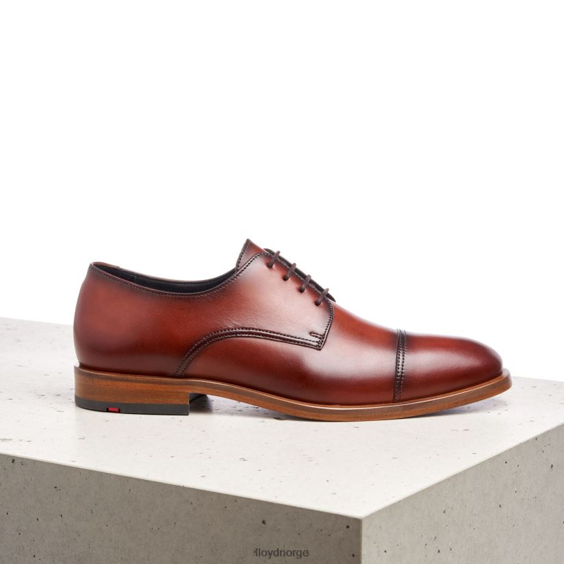 LLOYD rodney menn sko brun 4X82ZP195