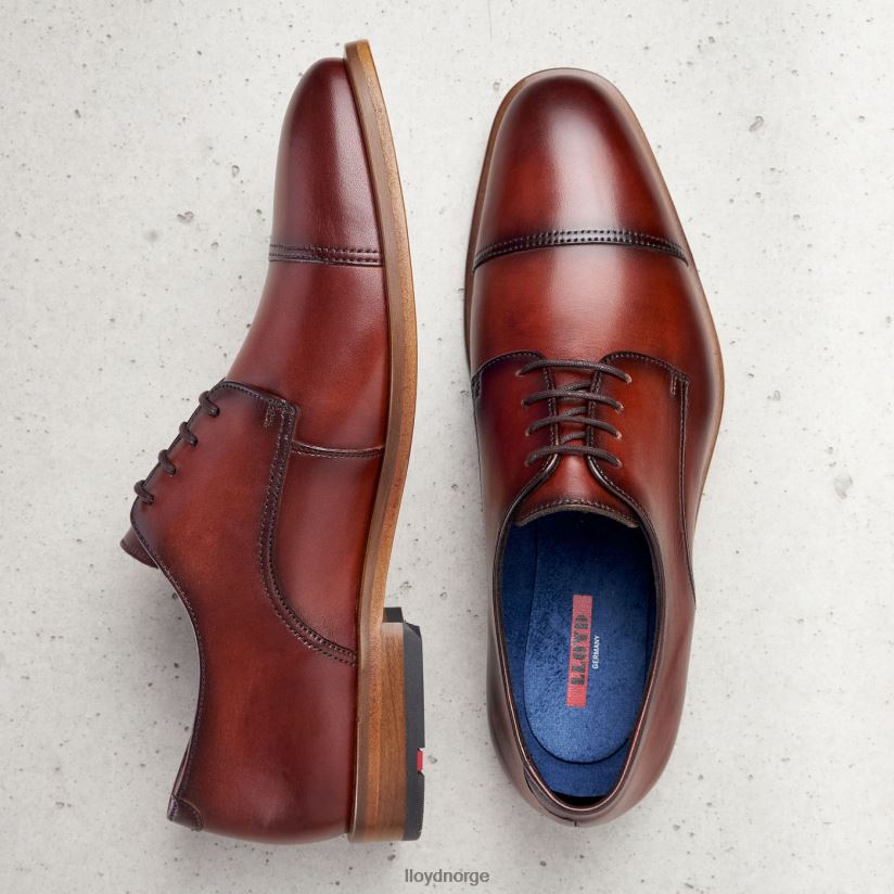 LLOYD rodney menn sko brun 4X82ZP195