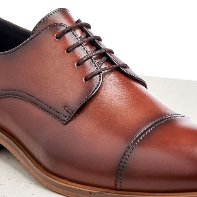 LLOYD rodney menn sko brun 4X82ZP195