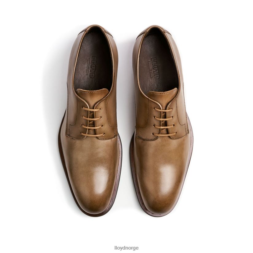 LLOYD sabel menn sko grå 4X82ZP149