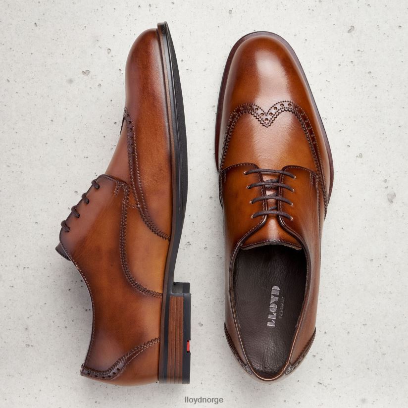 LLOYD samson menn sko brun 4X82ZP235