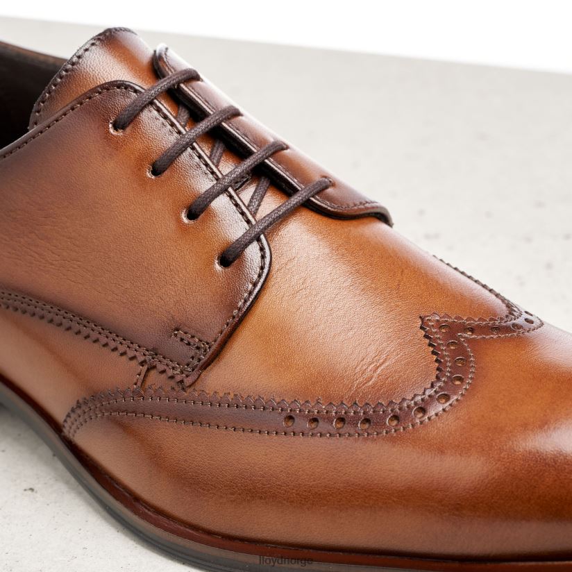 LLOYD samson menn sko brun 4X82ZP235