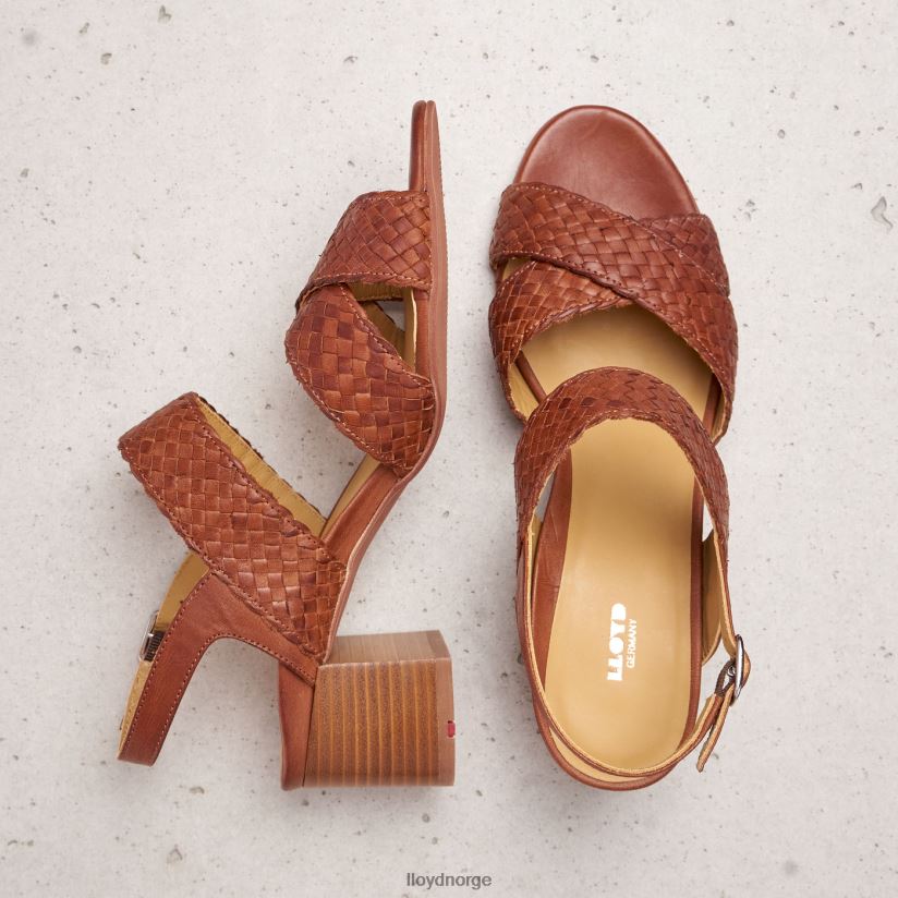LLOYD sandal kvinner sko brun 4X82ZP1216