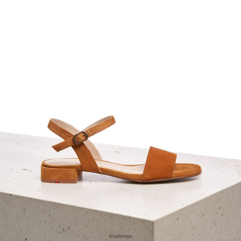 LLOYD sandal med semsket skinn kvinner sko brun 4X82ZP1158