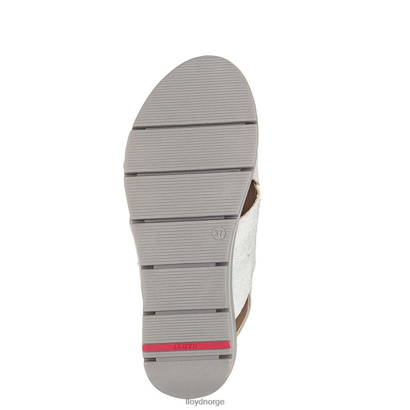 LLOYD sandal med semsket skinn kvinner sko grå 4X82ZP1252
