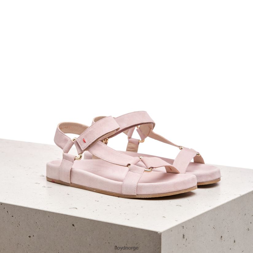 LLOYD sandal med semsket skinn kvinner sko rosa 4X82ZP1236