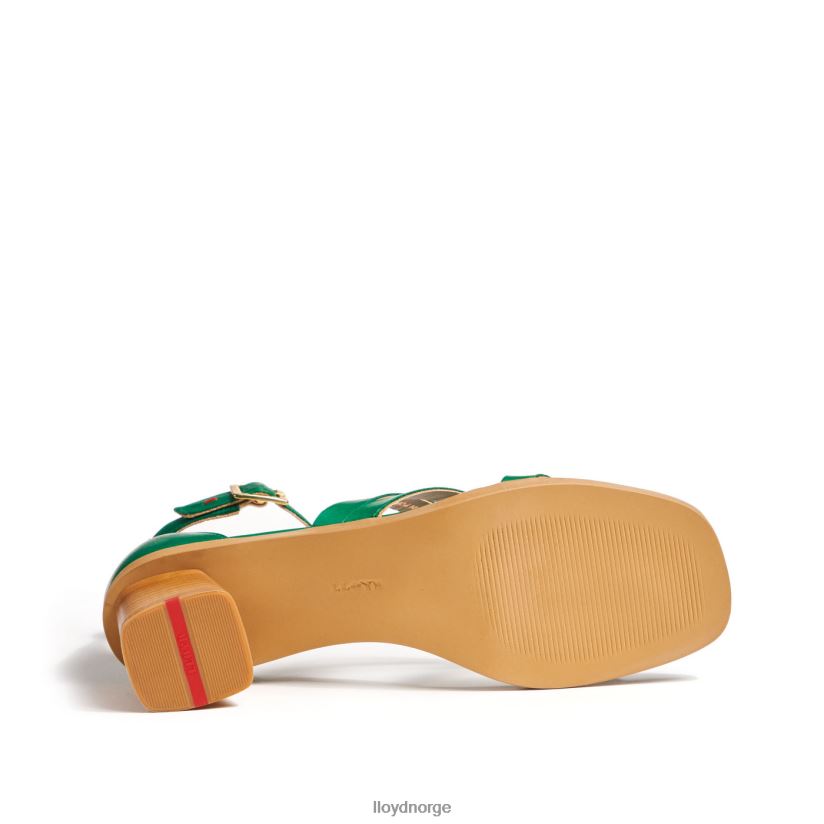 LLOYD sandaler kvinner sko grønn 4X82ZP1203