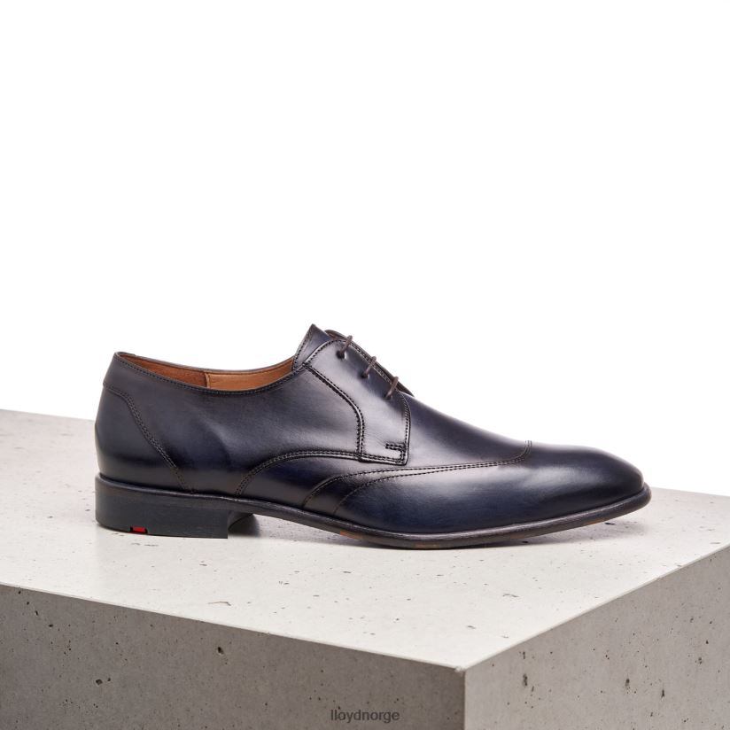 LLOYD sandro menn sko blå 4X82ZP170