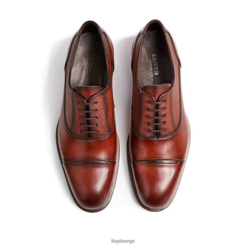 LLOYD santiago menn sko brun 4X82ZP238